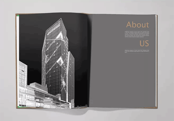 高檔樓書 第3張 高檔樓書 第3張