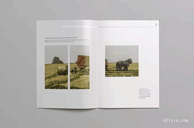 上海高檔畫冊(cè)印刷需要高端設(shè)計(jì)技術(shù)相結(jié)合