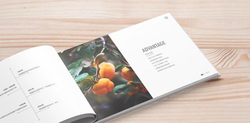 上海畫冊印刷廠家|吉印通高性價比印刷 第1張 上海畫冊印刷廠家|吉印通高性價比印刷 第1張